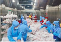 四川高金食品50吨鲜肉3地出征 捐赠预制菜驰援上海万家美味！